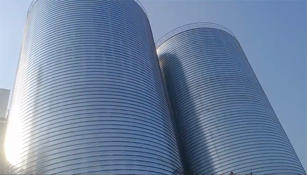 宝兴2座混凝土高架卷板仓